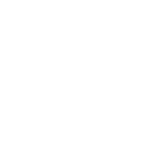 Global network